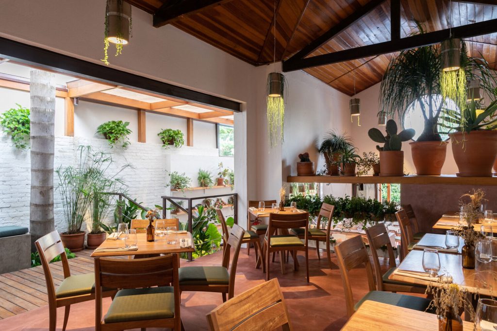 restaurante vegano em são paulo