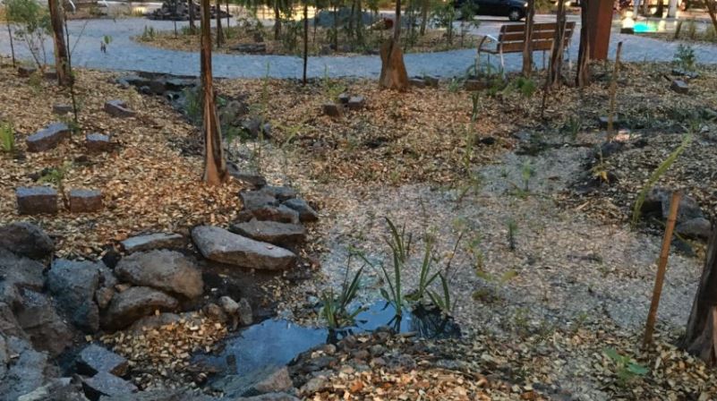 manejo sustentável de águas pluviais