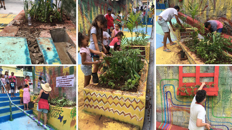 jardim de Chuva grajaú SP