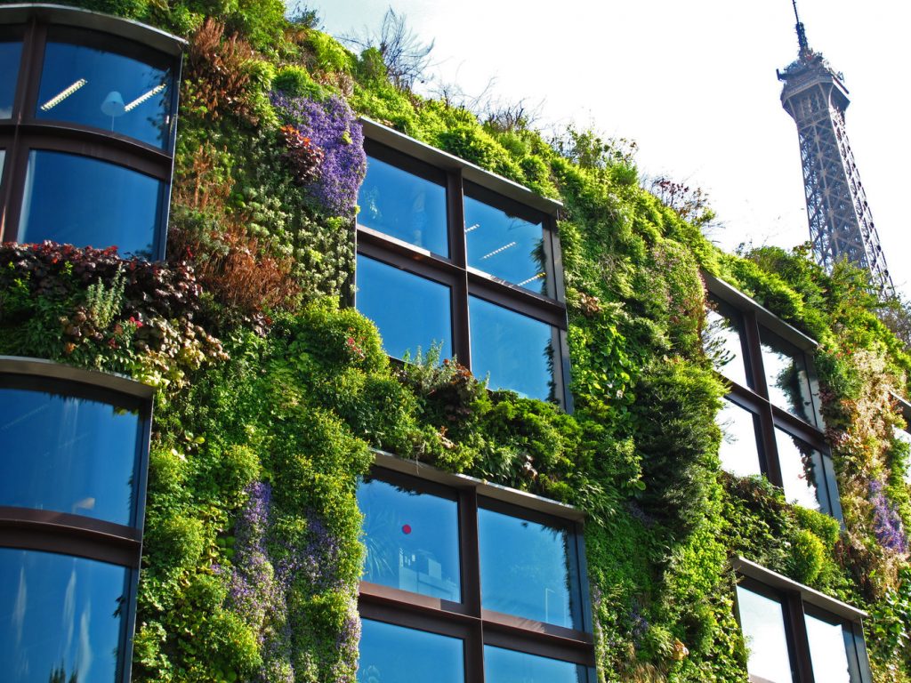 Museu Quai Branly patrick blanc