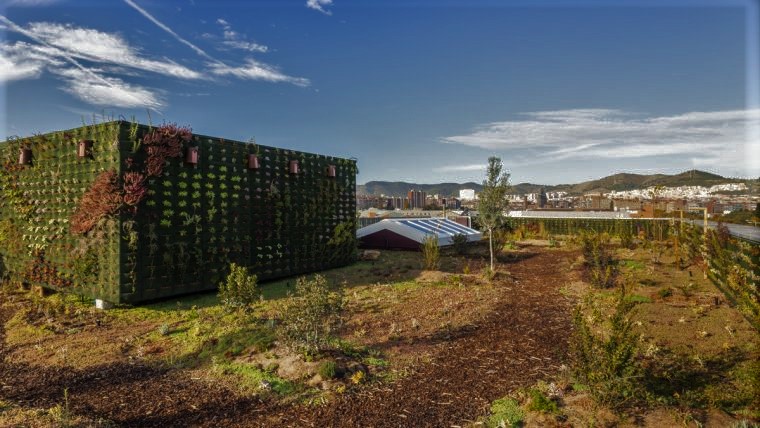 Concurso de telhados verdes em Barcelona