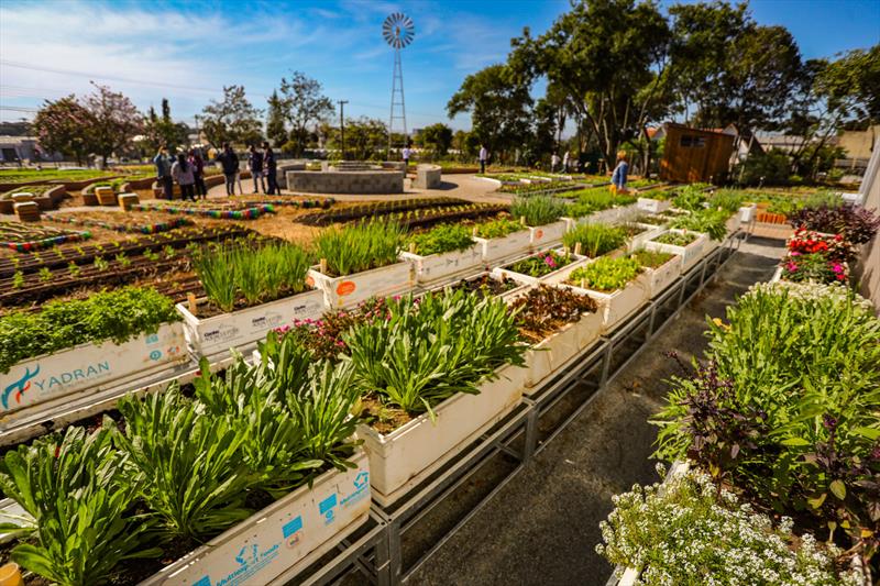 fazenda urbana em Curitiba