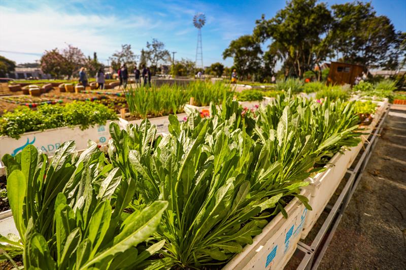 fazenda urbana em curitiba