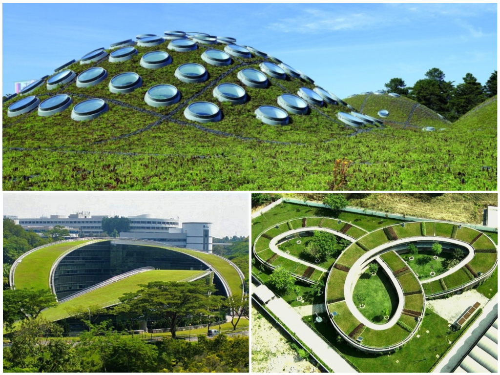 telhados verdes pelo mundo