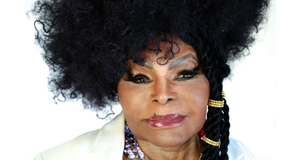 Virada Sustentável SP elza soares