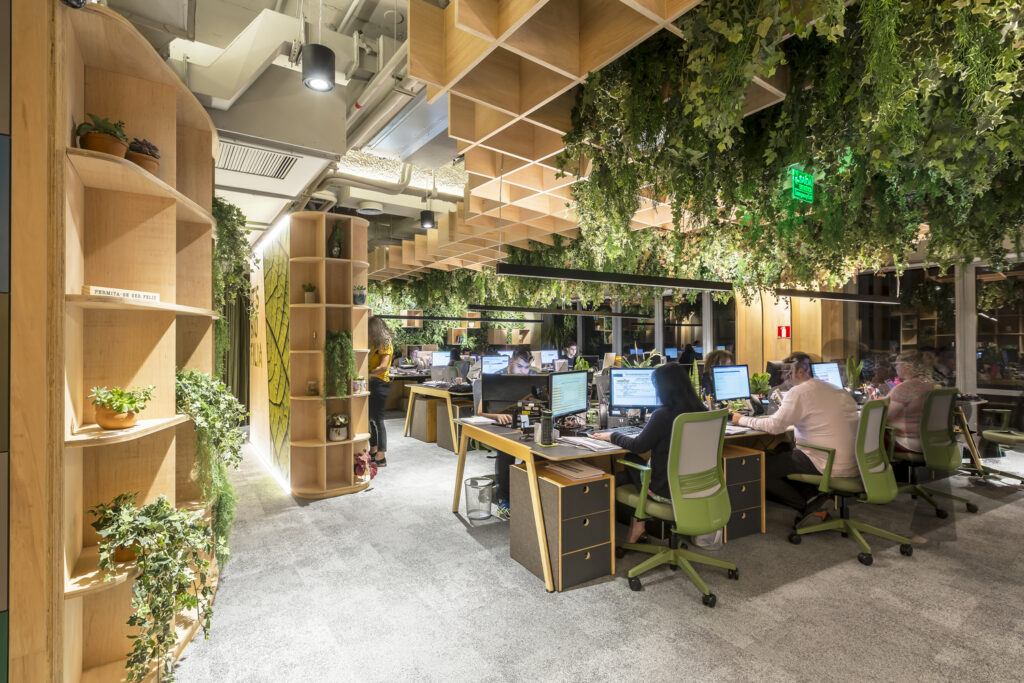 Design biofílico - Sede It's informov