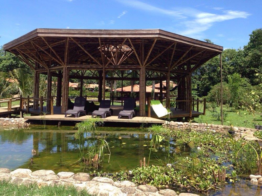 bananal ecologe piscina biologica