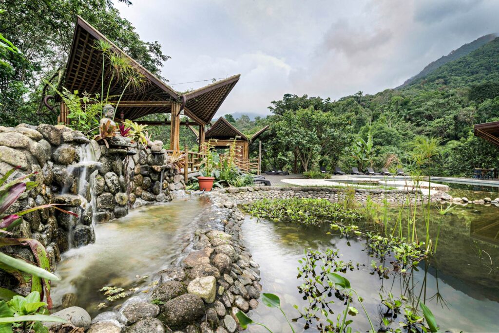 sistemas naturais biofilia