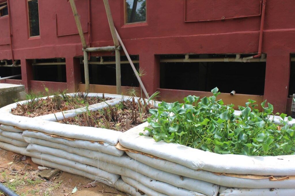 bananal ecologe tratamento das aguas 