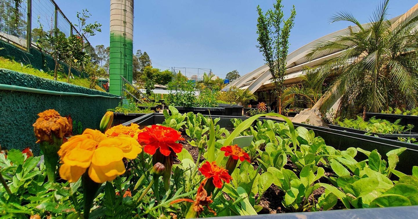 Horta comunitária na favela de Paraisópolis
