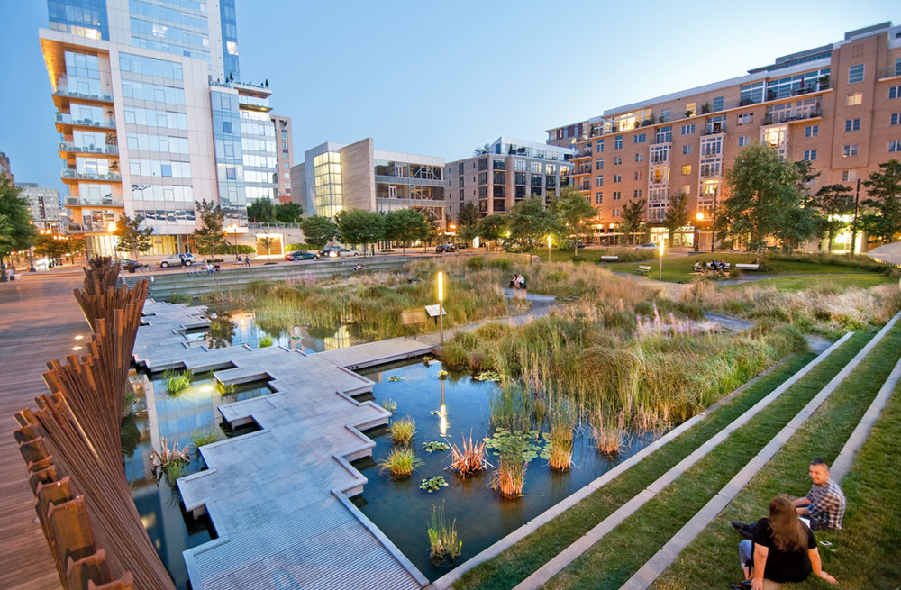 Conexão com os Sistemas Naturais biofilia