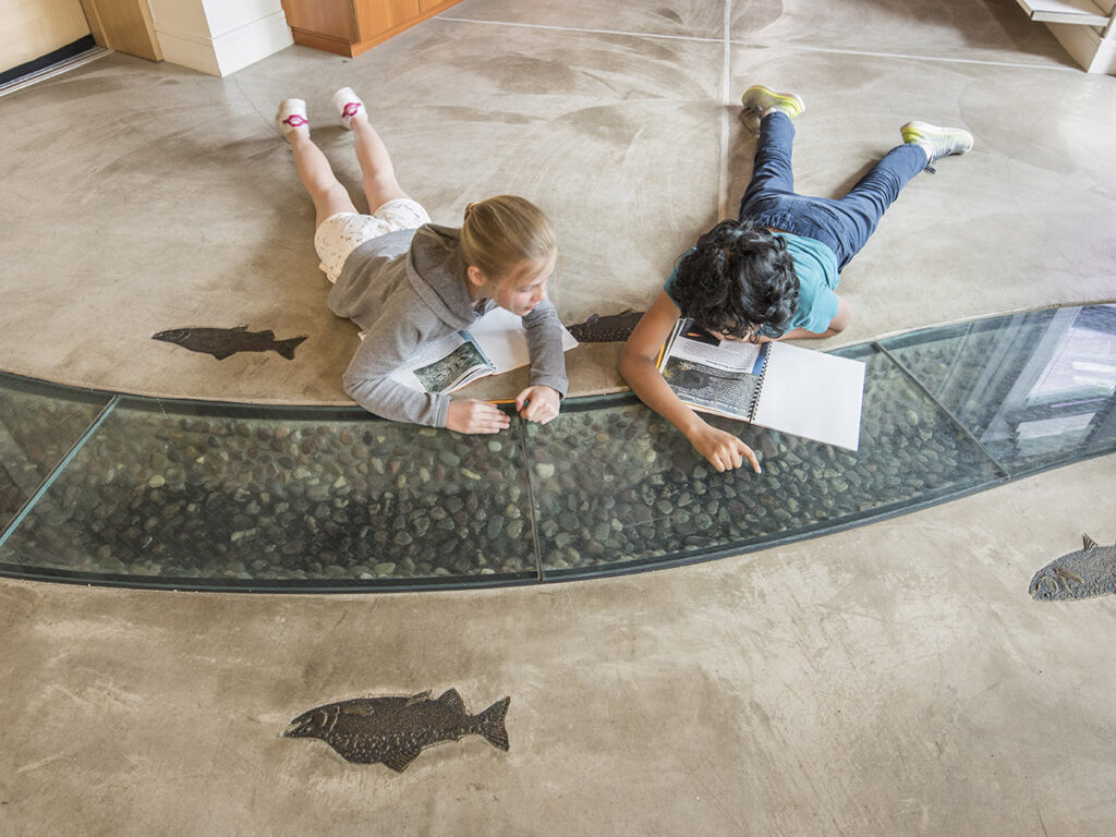 escola biofilica  caso bertschi school