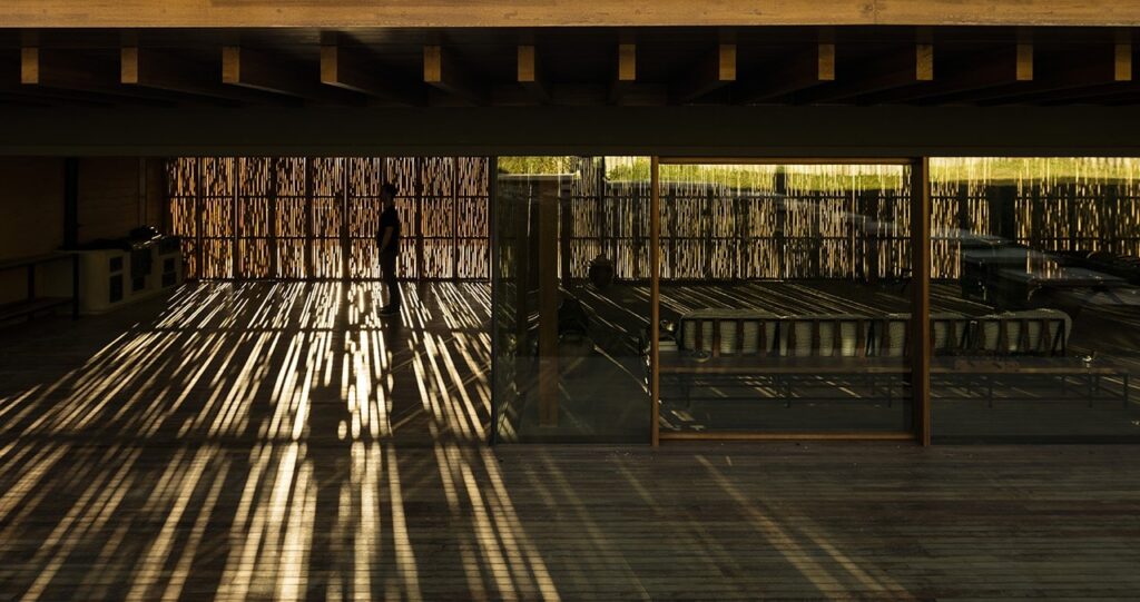 design biofilico luz e sombra