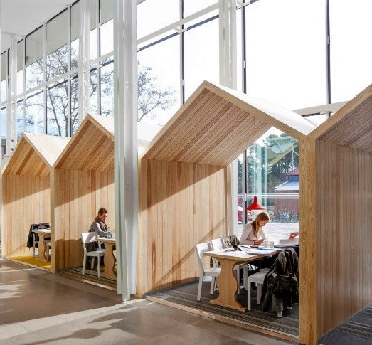 refugio design biofilico