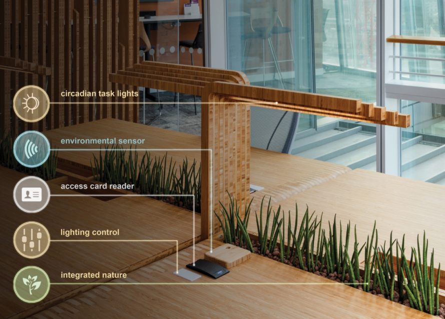 iluminação circadiana