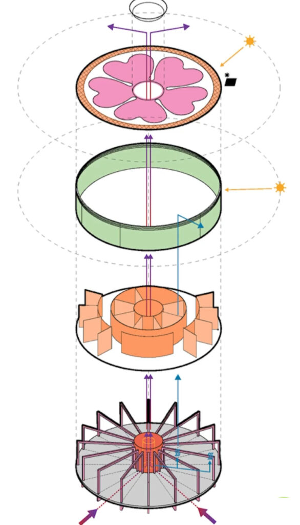 flor primula campanha de vacinação covid italia
