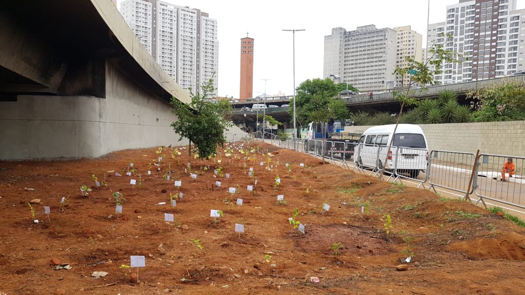 programa gentileza urbana mudas