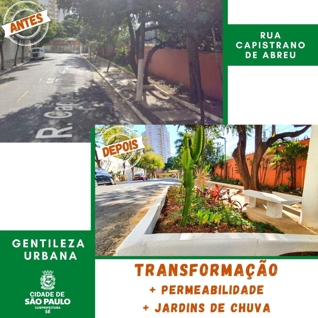 jardim de chuva antes e depois