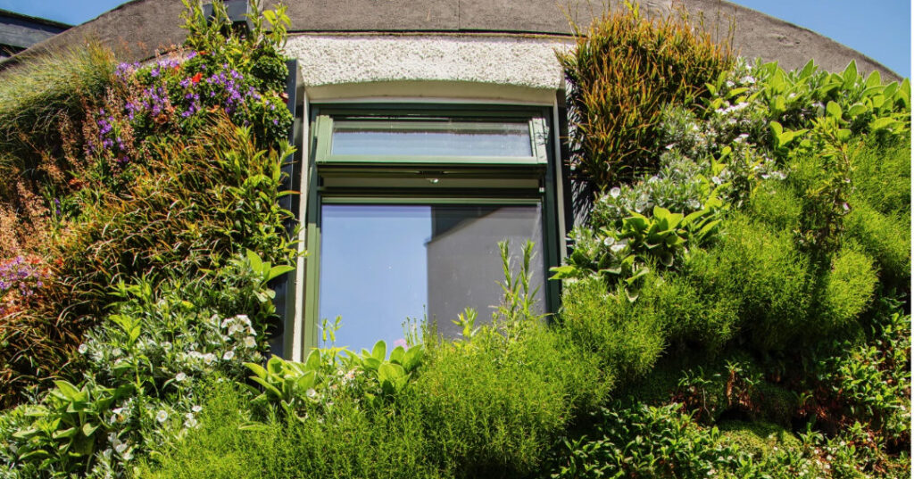 Paredes vivas podem reduzir a perda de calor dos edifícios