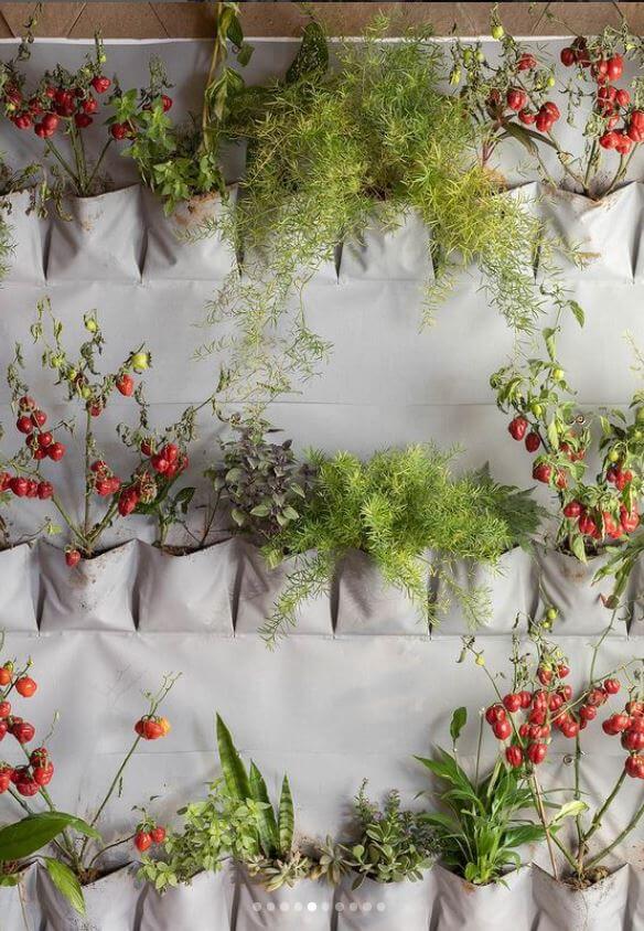 jardim vertical casa cor