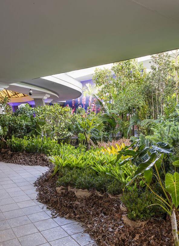 banho de floresta nativa cardim paisagismo