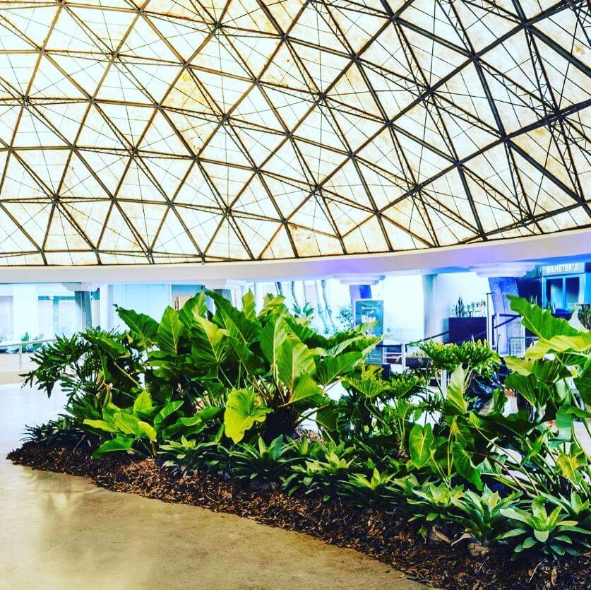 banho de floresta nativa