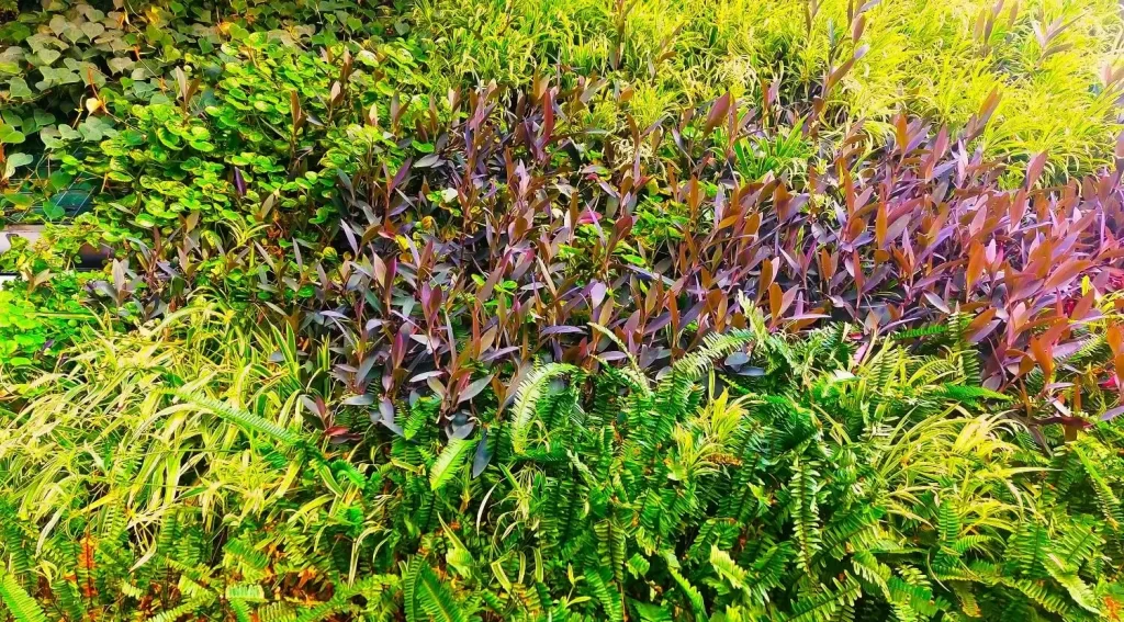 jardim vertical natural