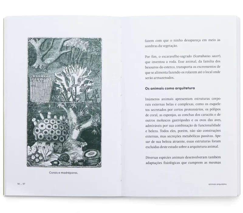 LIVRO animais_arquitetos