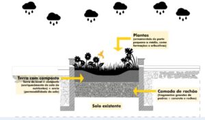 Minhocão com soluções baseadas na natureza JARDINS DE CHUVA