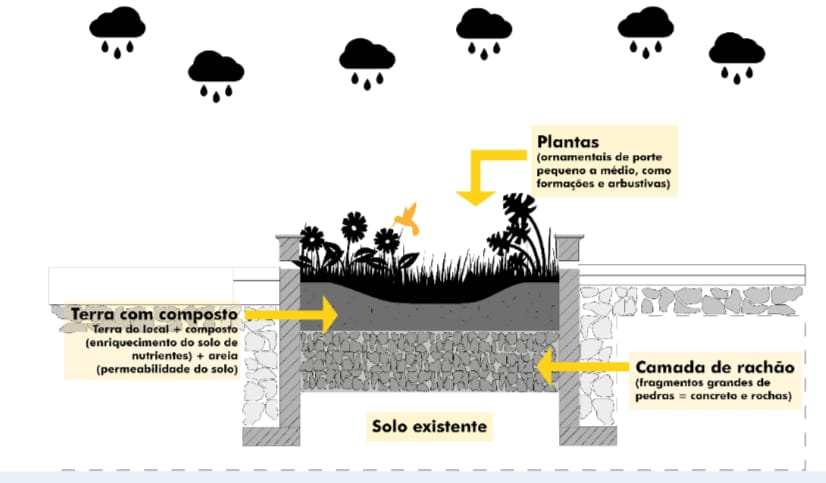 Minhocão com soluções baseadas na natureza JARDINS DE CHUVA